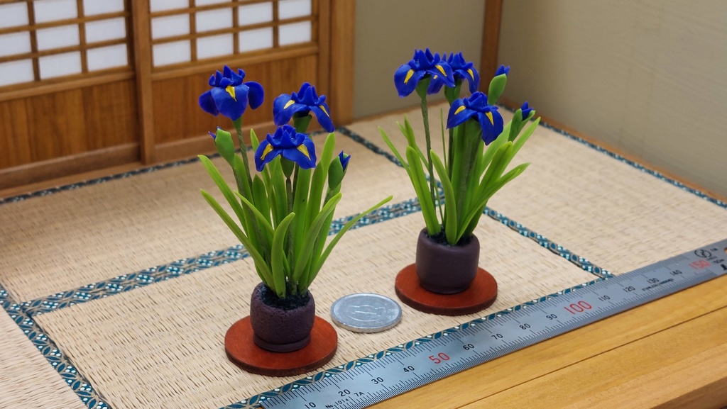 菖蒲