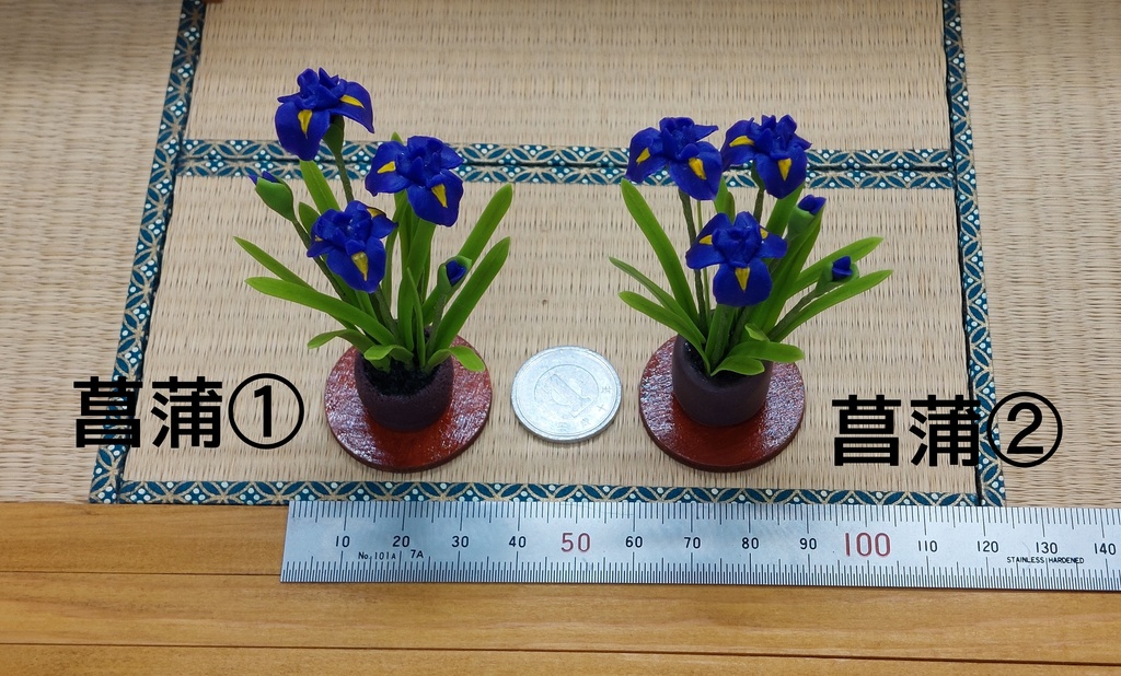 菖蒲