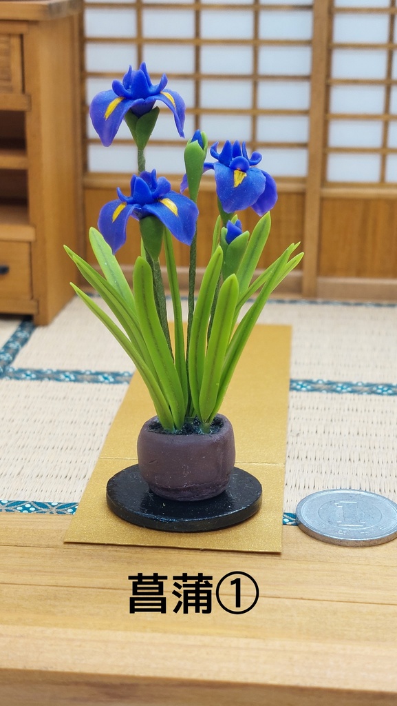 菖蒲