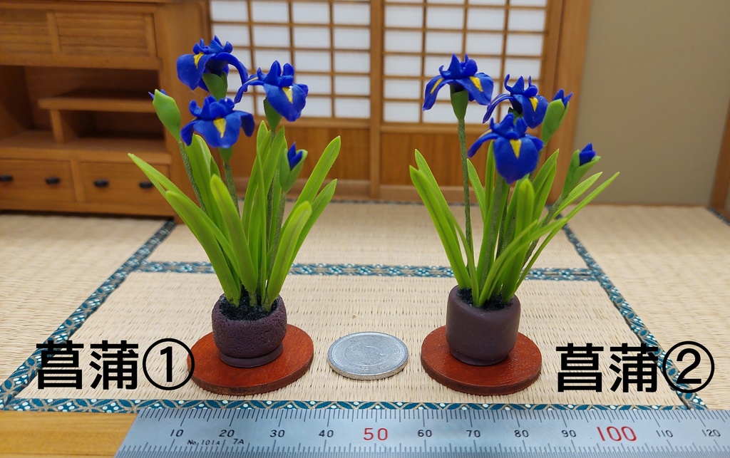 菖蒲
