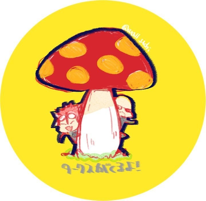 🍄とルドレノピンバッジ