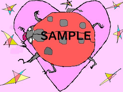 てんとう虫(Ladybug)
