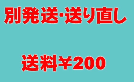別発送・送り直し用