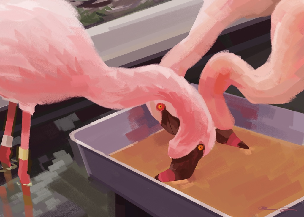 Sunday Park ポストカード5種