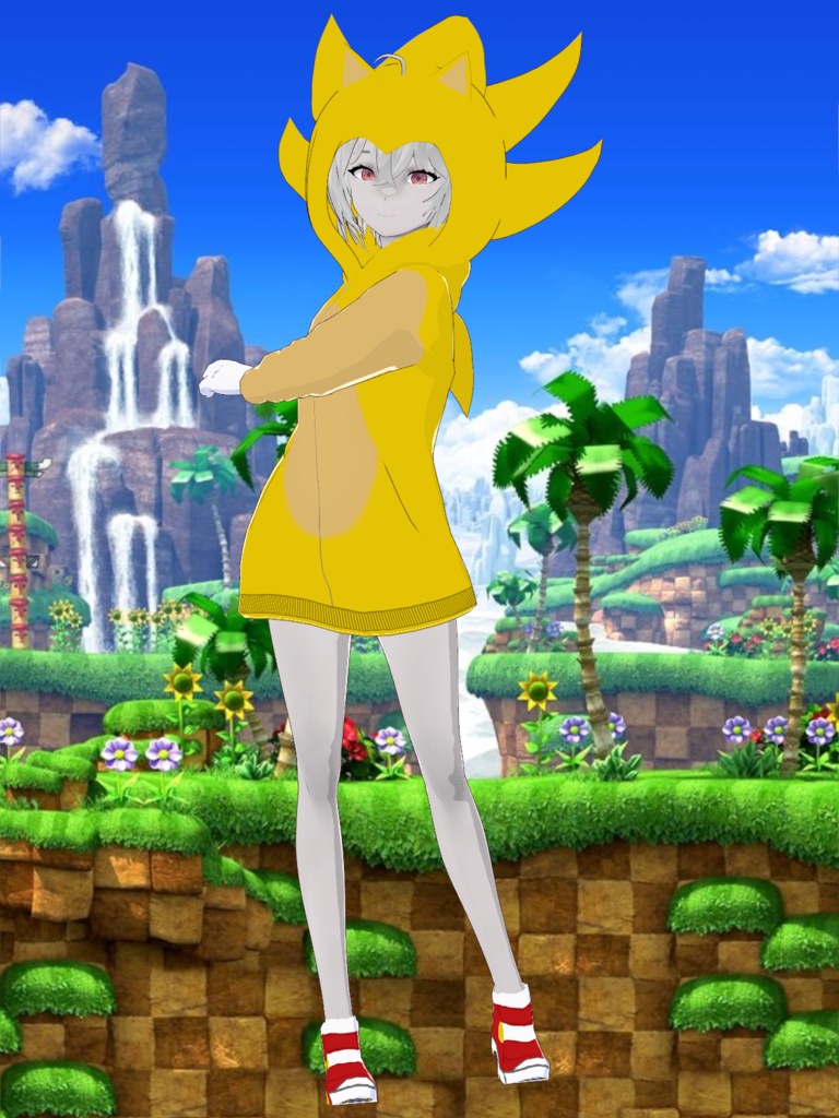 Sonic and Super Sonic Hoodie + SA2 Soap Shoes pack