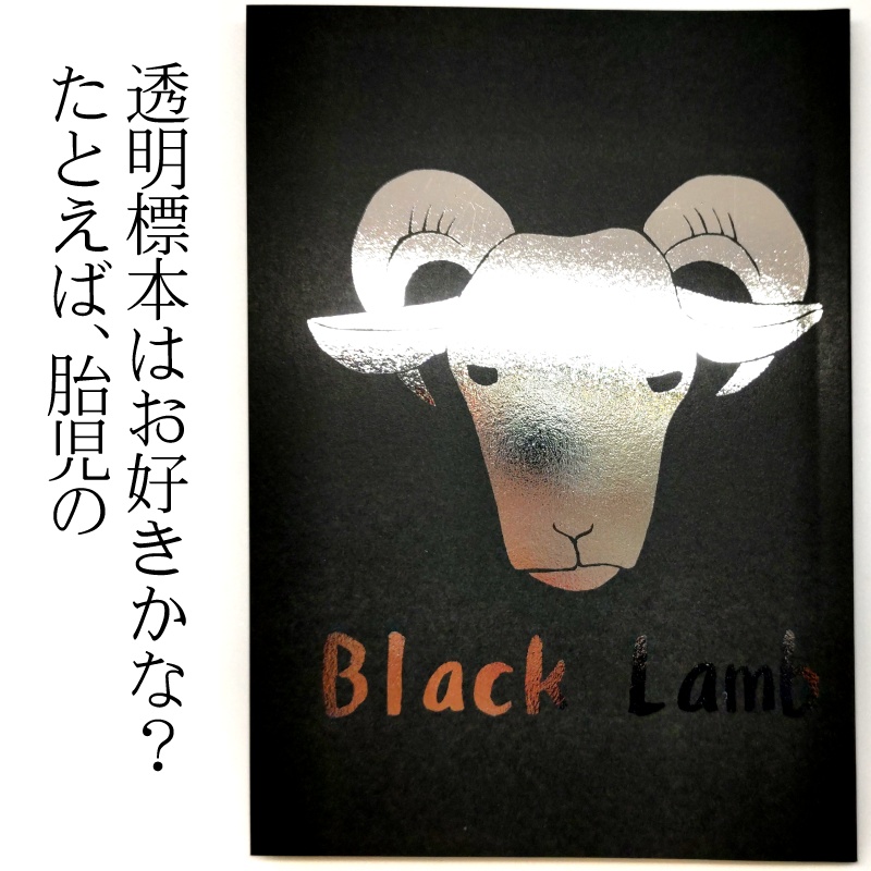 BlackLamb