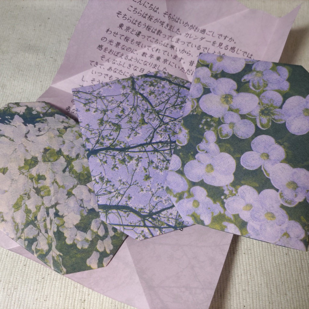【チャリティ商品】植物のお手紙