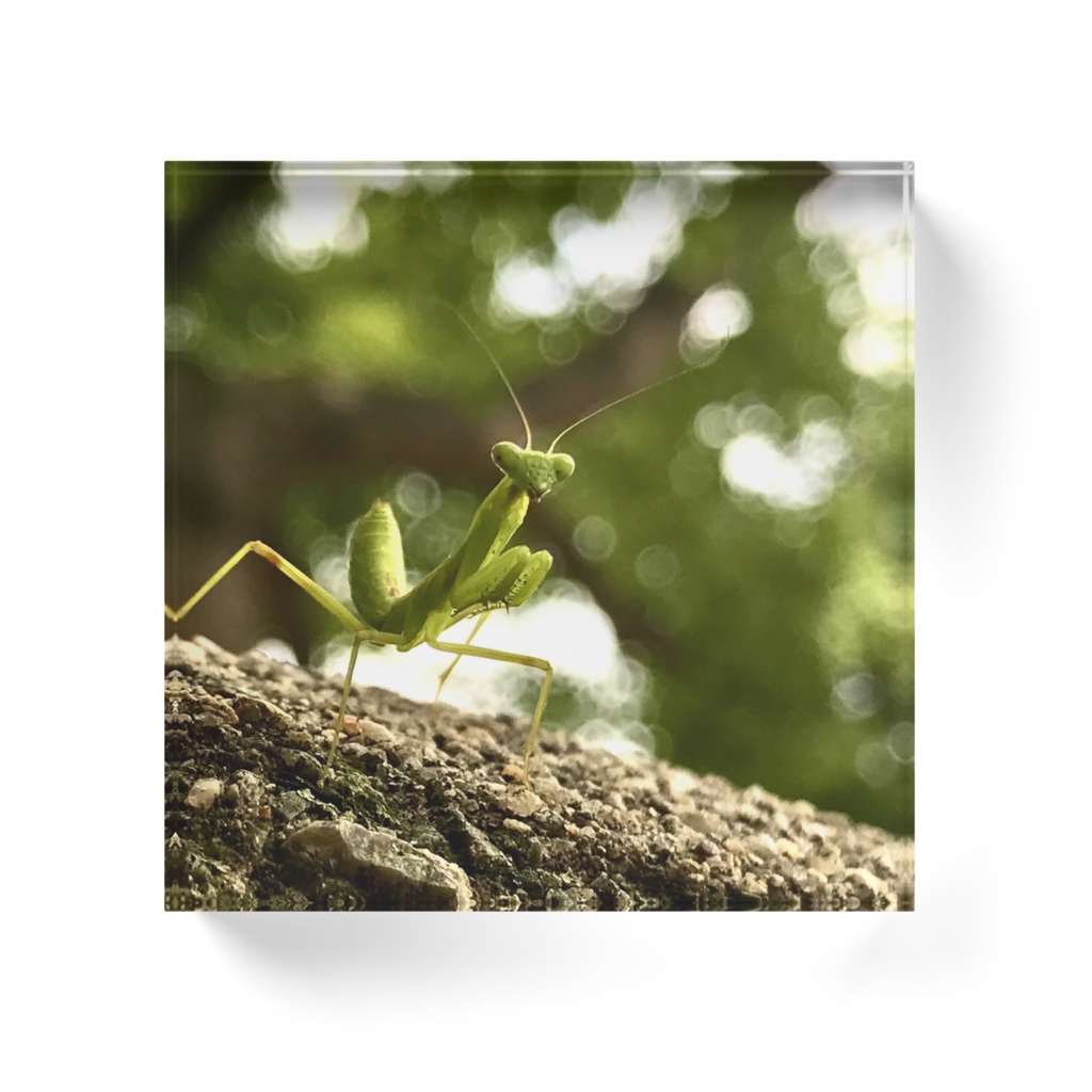 カマキリブロック