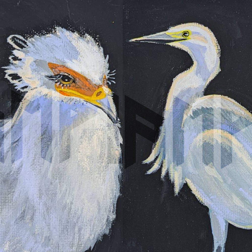 【委託品】桃井原画：鳥スケッチ