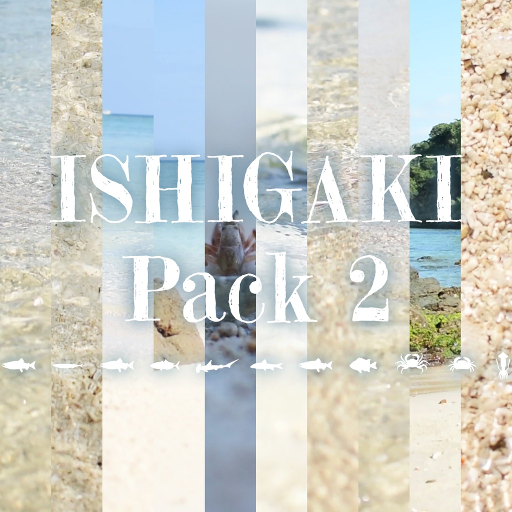 ISHIGAKI Pack 2