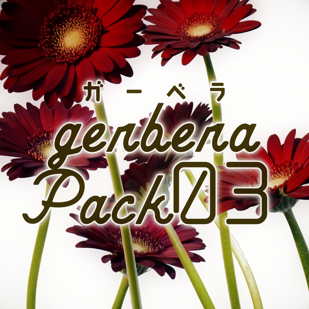 Gerbera Pack 03【赤色のガーベラ】
