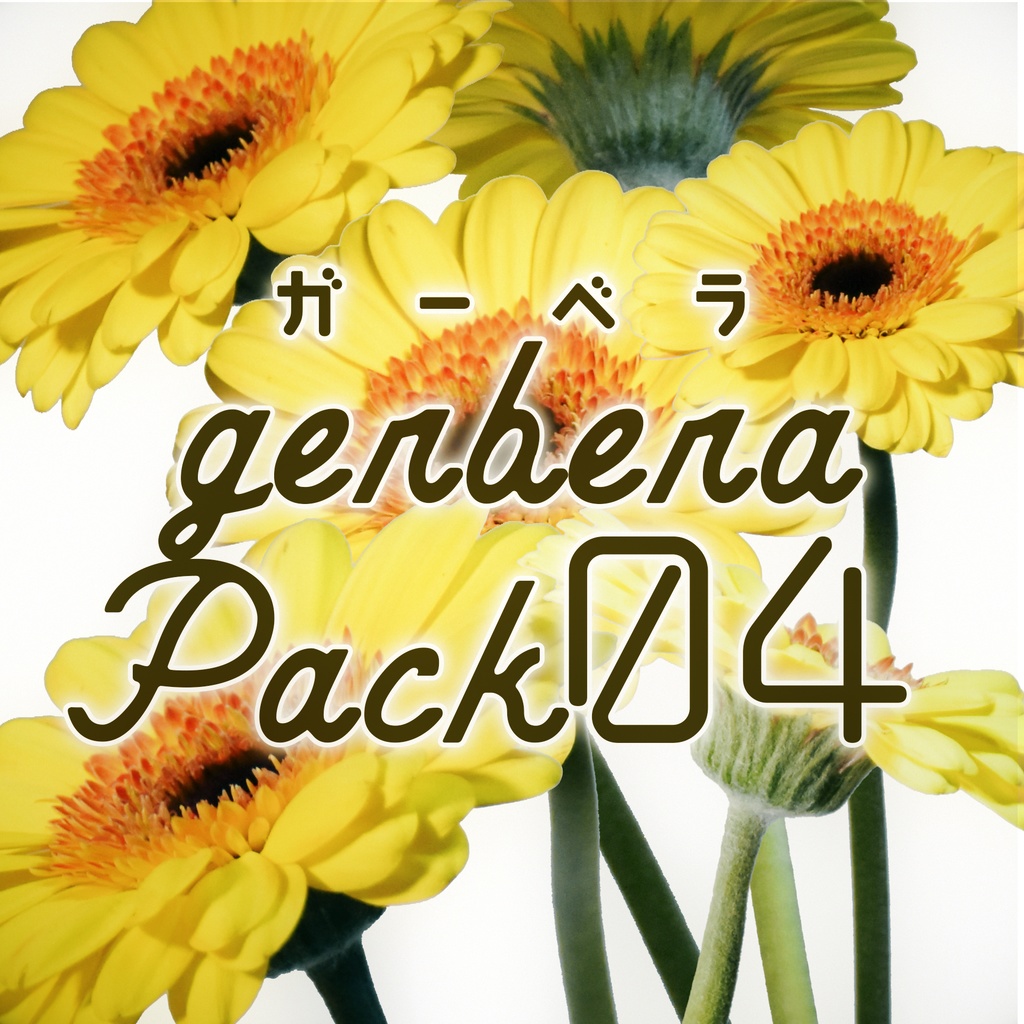 Gerbera Pack 04 黄色のガーベラ Senaleon Booth