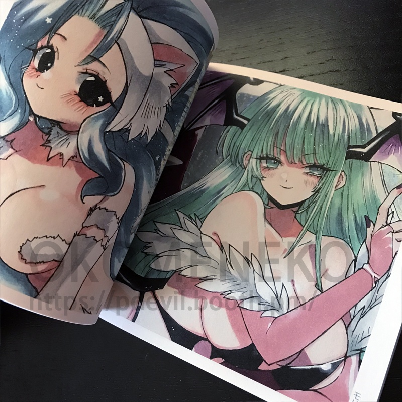 【初版・再版選べる】【4/21新刊】FIRE WORKS アナログイラスト本