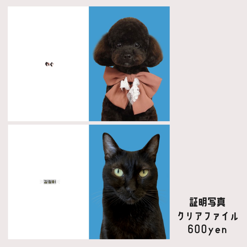 【在庫販売】黒猫アクリルグッズ