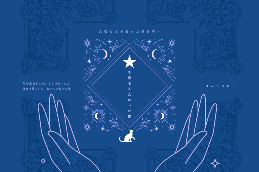 《 改訂版 星を捕まえたかった猫 》