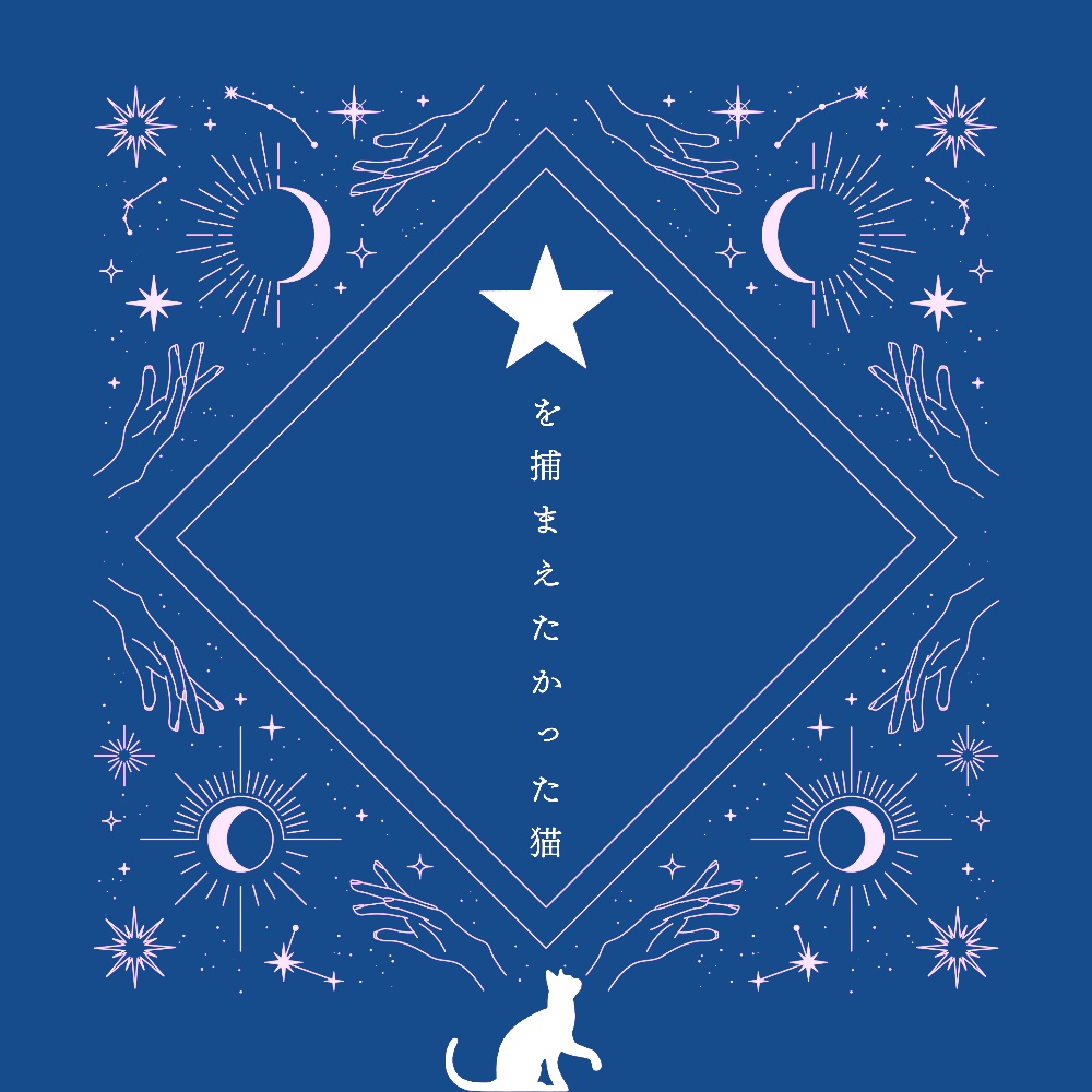 《 改訂版 星を捕まえたかった猫 》