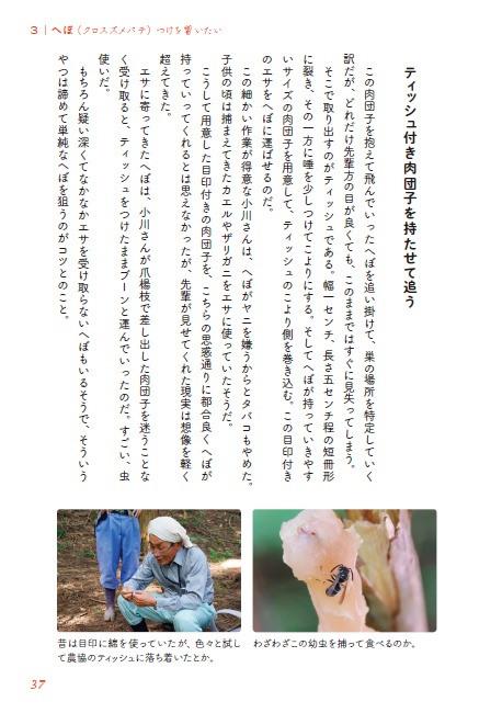 捕まえて食べたい