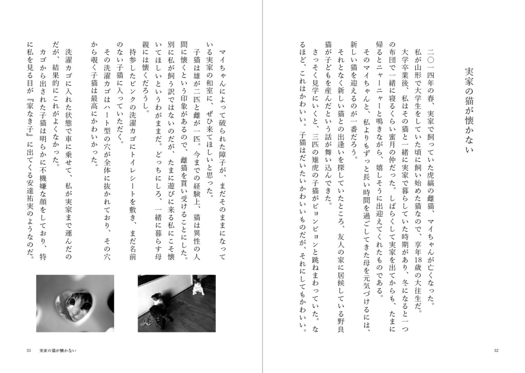 実家の猫が懐かない