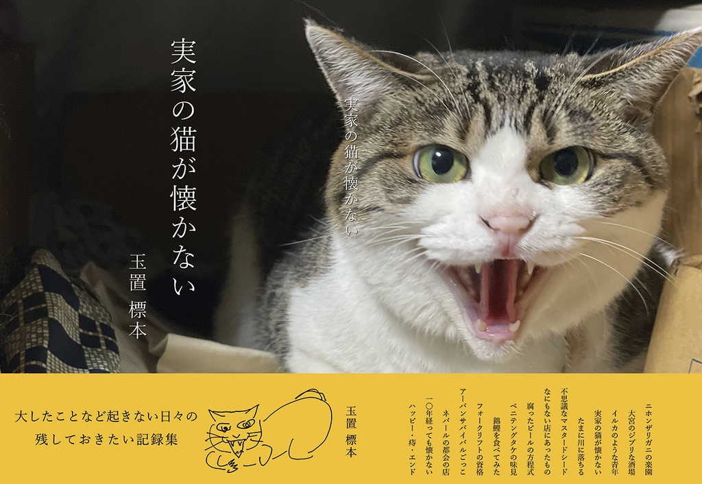 実家の猫が懐かない