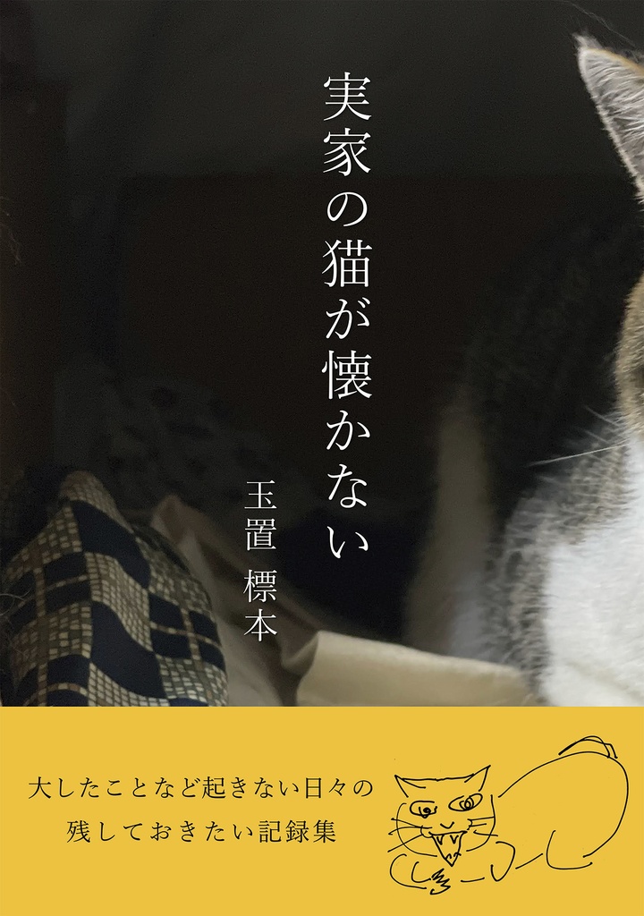 実家の猫が懐かない