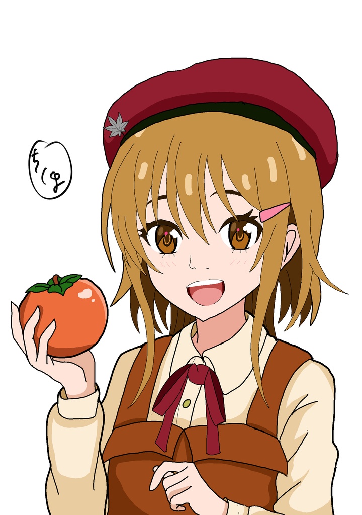 幸せのアンナ　紹介冊子（無料）