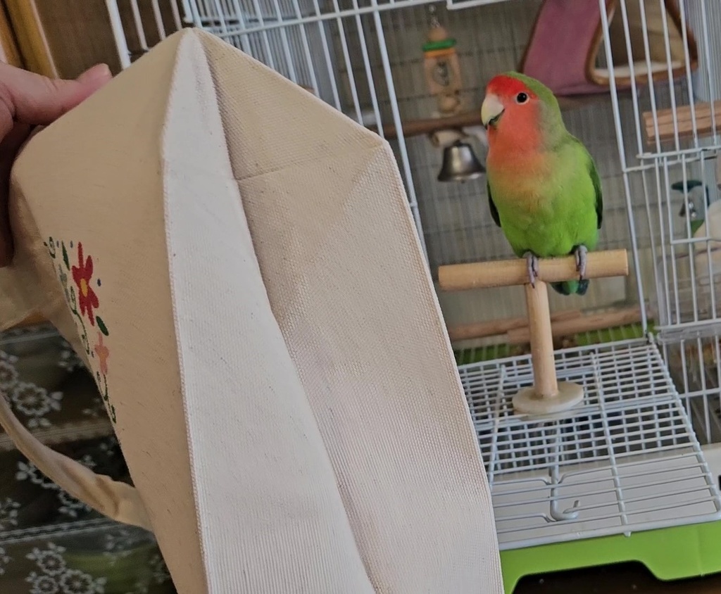 コザクラインコ キコとクウの可愛いトートバッグ