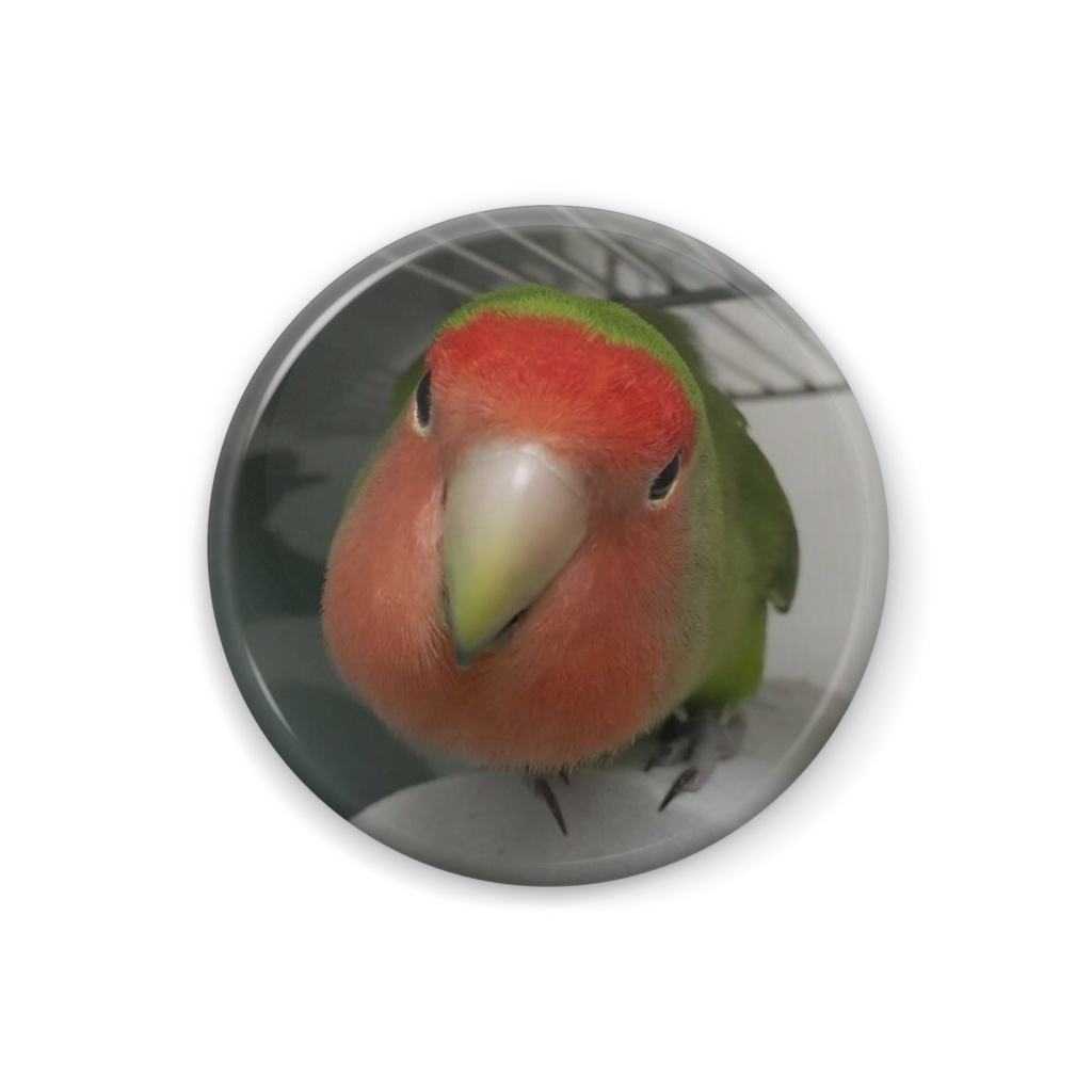 『Lovebirdコザクラインコ　キコとクウ』キコ缶バッジ 　 