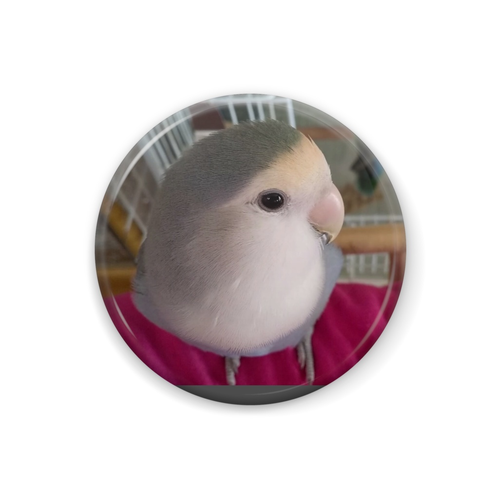『Lovebirdコザクラインコ キコとクウ』クウ缶バッジ