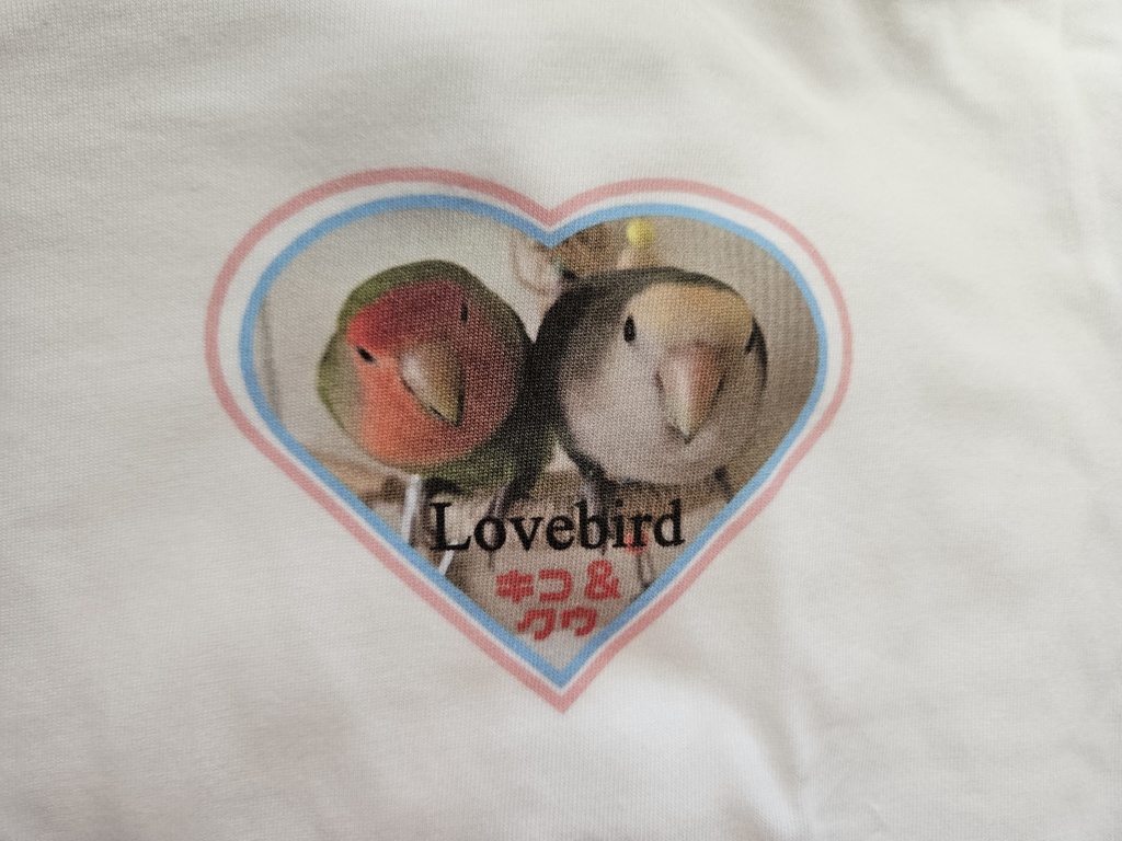 『Lovebirdコザクラインコ キコとクウ』シンプルなワンポイントTシャツ B