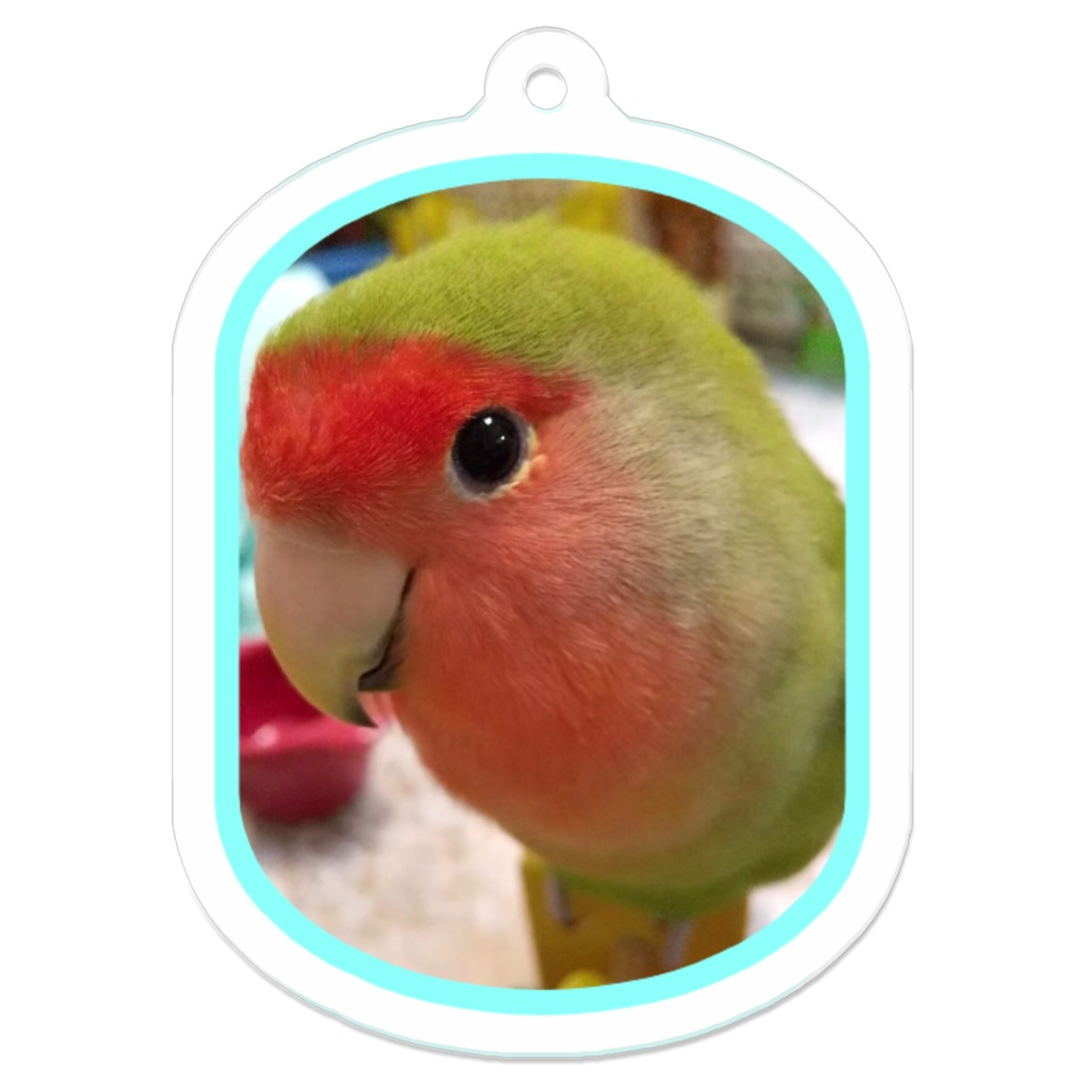 コザクラインコ キコの可愛いアクリルキーホルダー