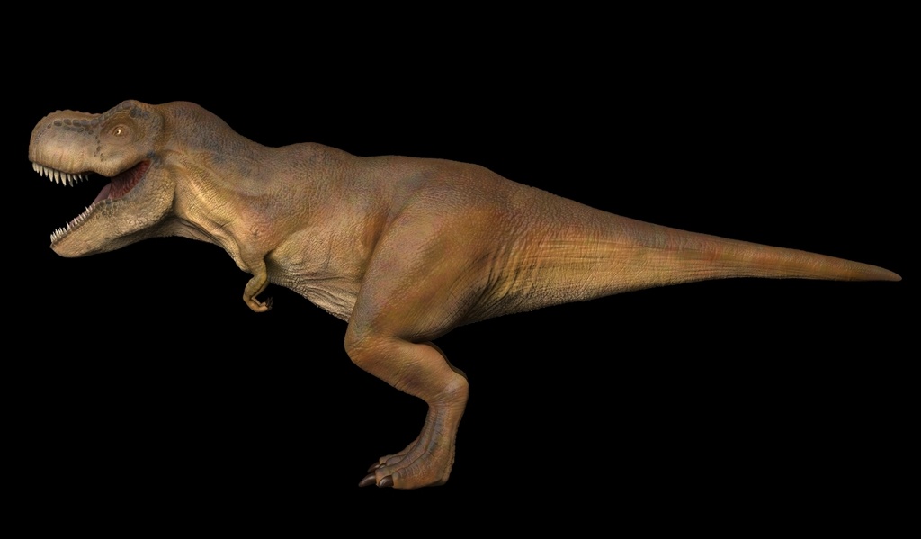 T-Rex(3Dモデル、3Dプリンタ用、ZBrush用)