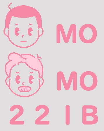 221Bicカードステッカー