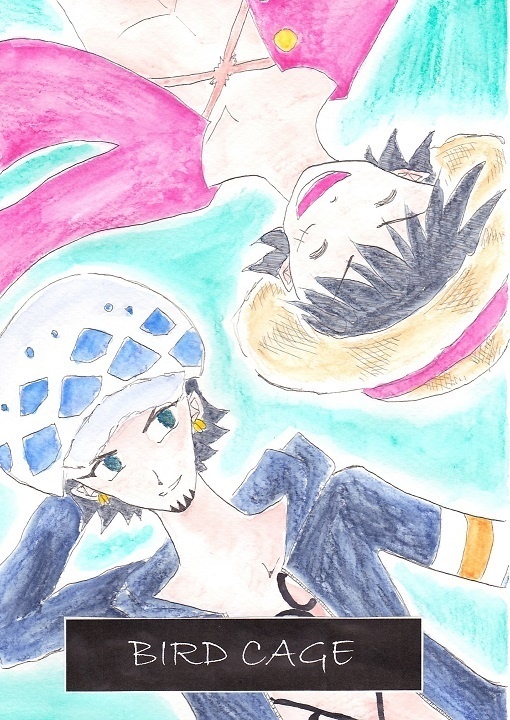 BIRD CAGE