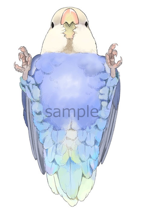 コザクラインコクッション(ヴァイオレットオパーリン)