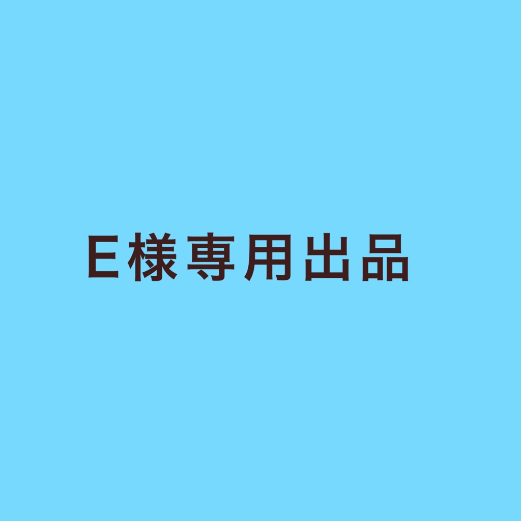 Eさま専用出品その他 - その他