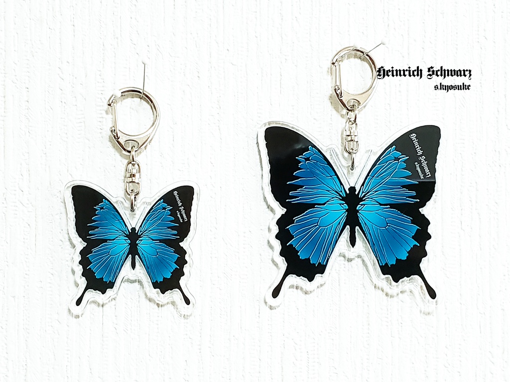 オオルリアゲハ蝶 アクキー(オリジナル)