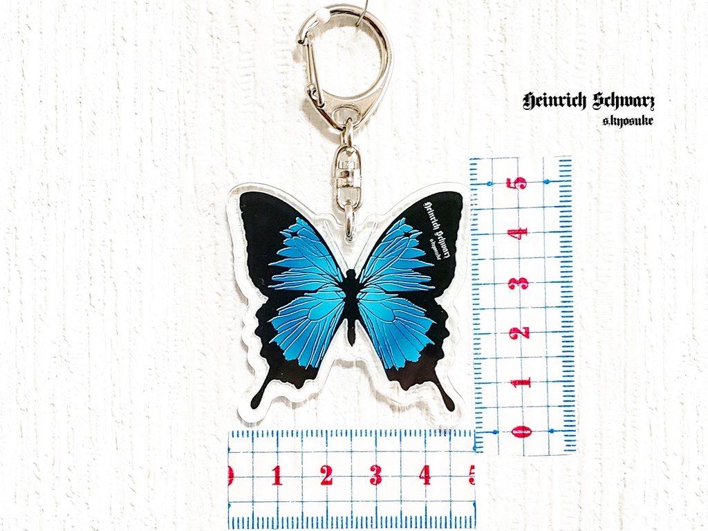 オオルリアゲハ蝶 アクキー(オリジナル)