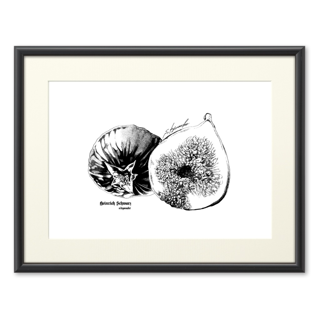 無花果(オリジナル細密画)  複製原画
