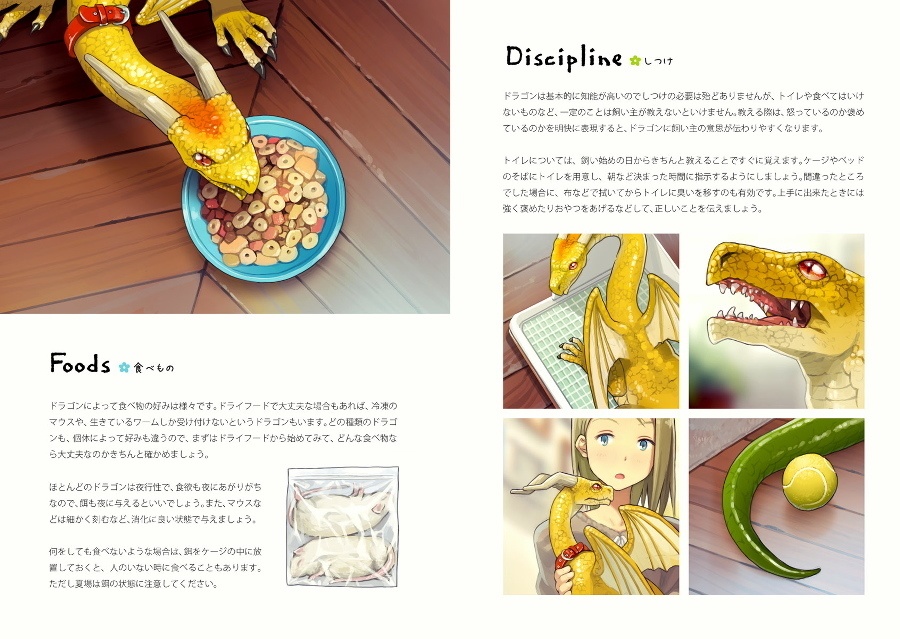 竜のそだてかた(DL版)