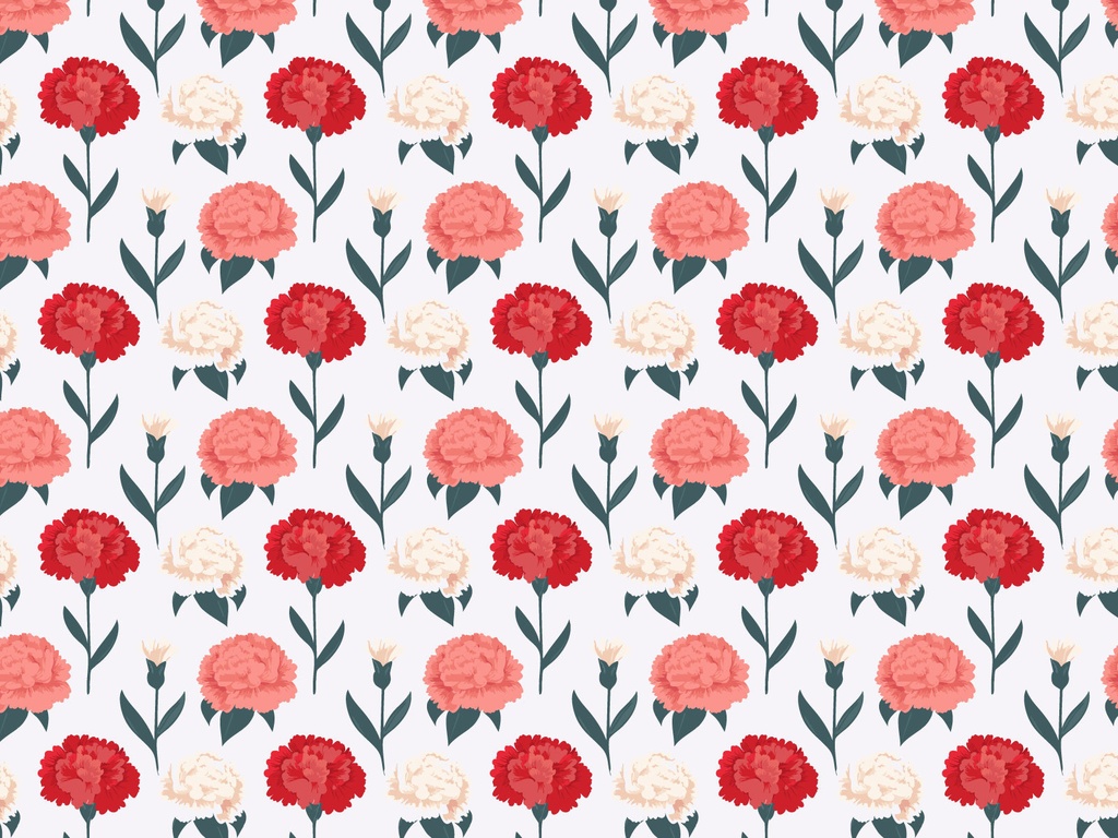 ピンクのおしゃれなカーネーションの壁紙01