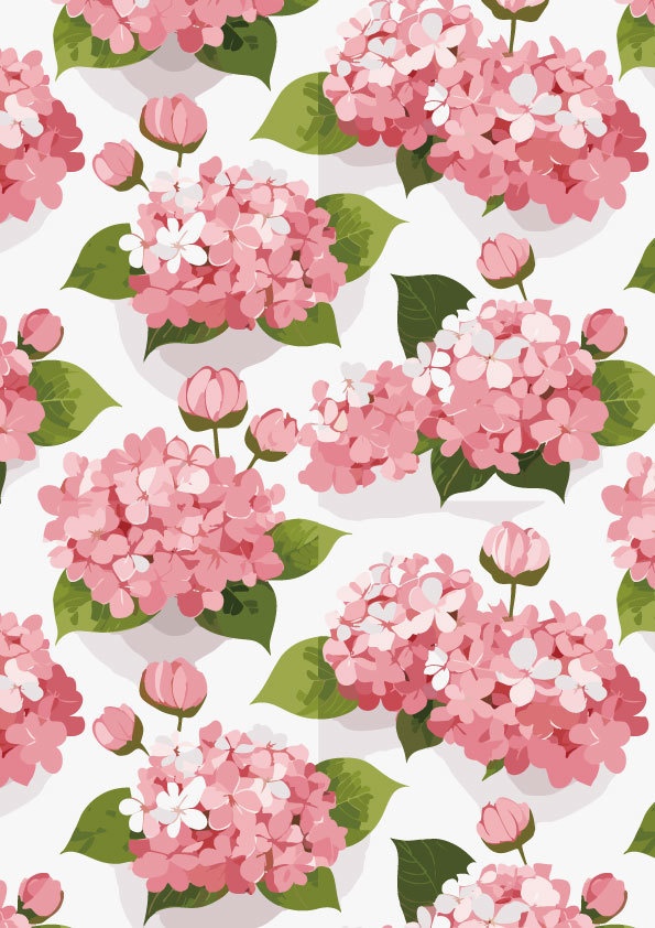 ピンクの紫陽花の花と蕾が可愛い壁紙02