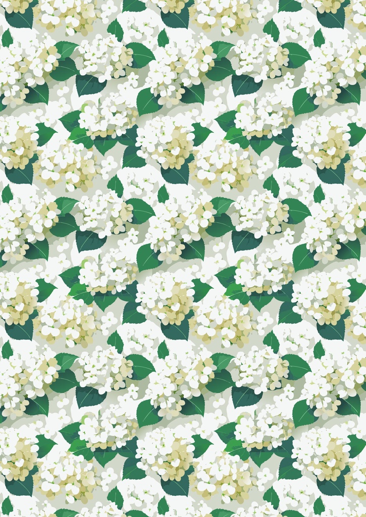白の紫陽花の花のおしゃれな壁紙03