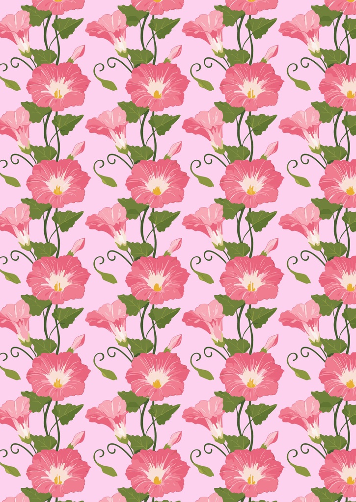 ピンクのアサガオの花とつぼみが可愛いピンクの夏の壁紙08