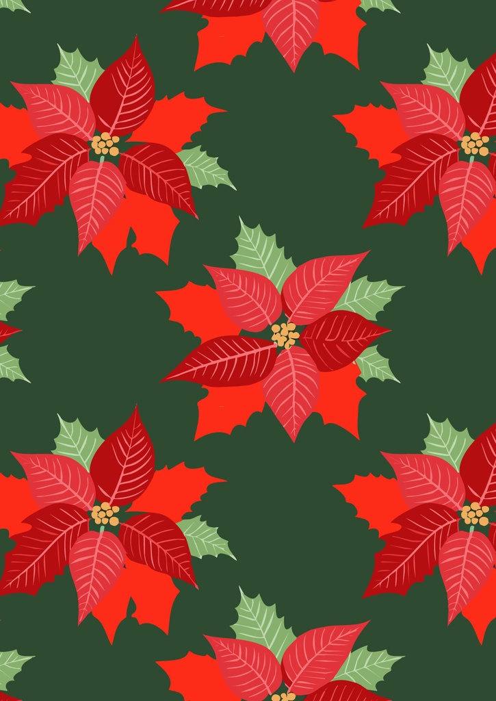 クリスマスの赤いポインセチアの花の壁紙28