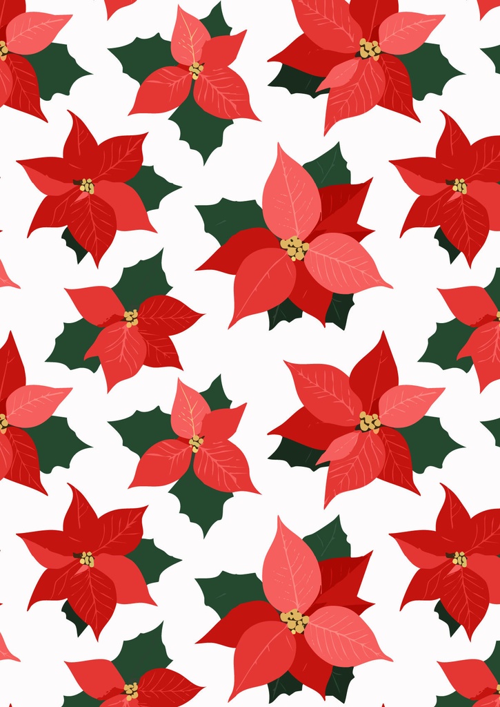 クリスマスの赤いポインセチアの花の壁紙34