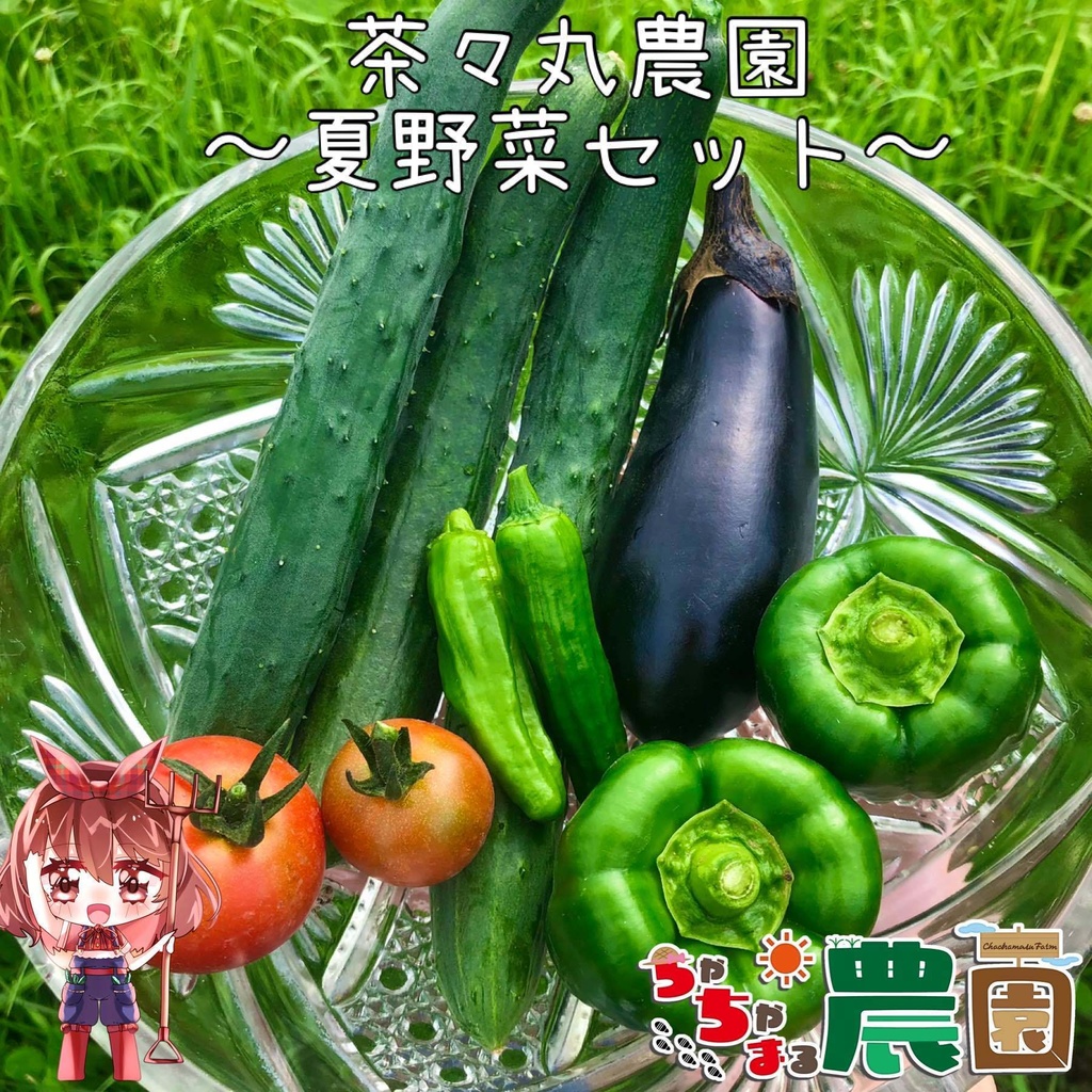 【24.08.21完売】-7，8月-茶々丸農園〈夏野菜セット〉