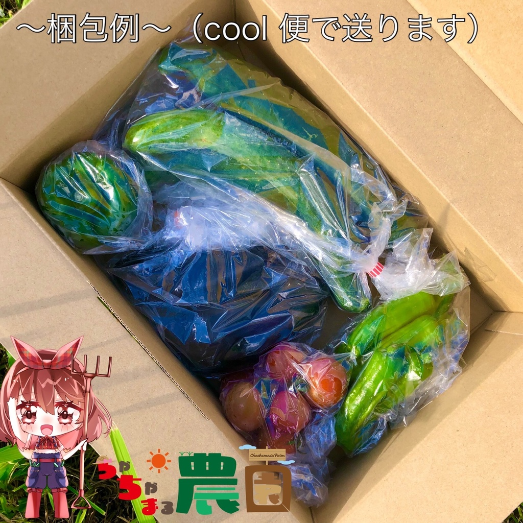 【24.09.05完売】-9月-茶々丸農園 〈超完熟夏野菜セット〉