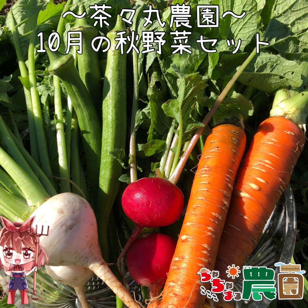 10月の茶々丸農園 〈秋野菜セット〉クール便【カブ・ラディッシュ・オクラetc】