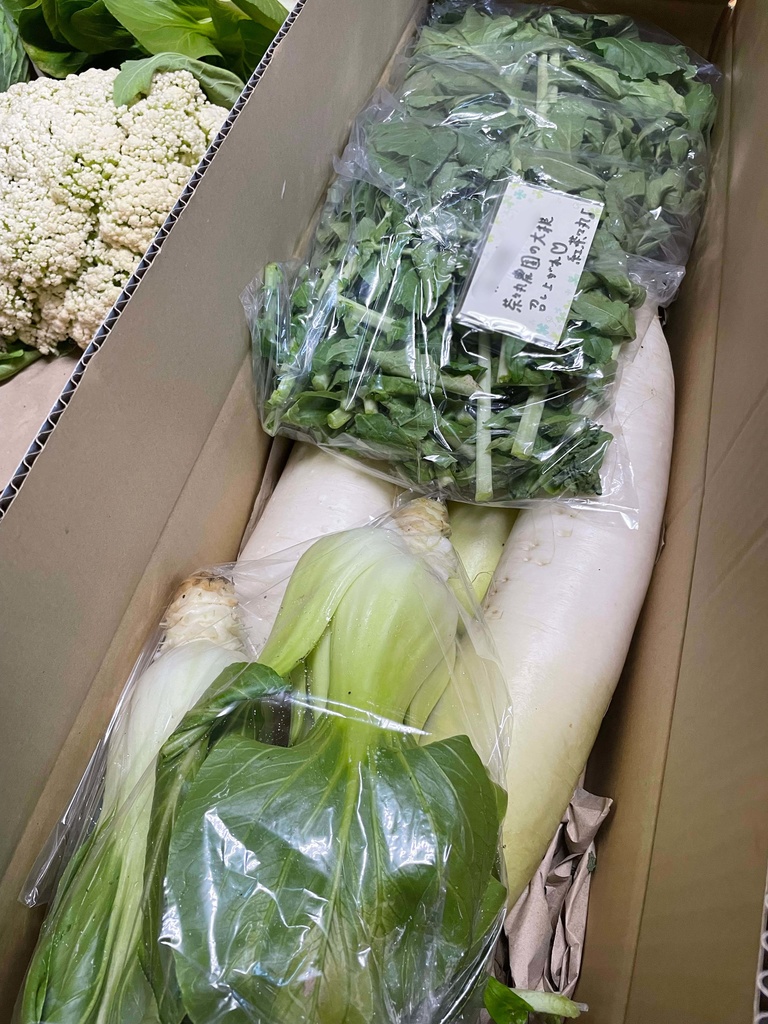 【24.11.30 完売】茶々丸農園大根&チンゲン菜セット