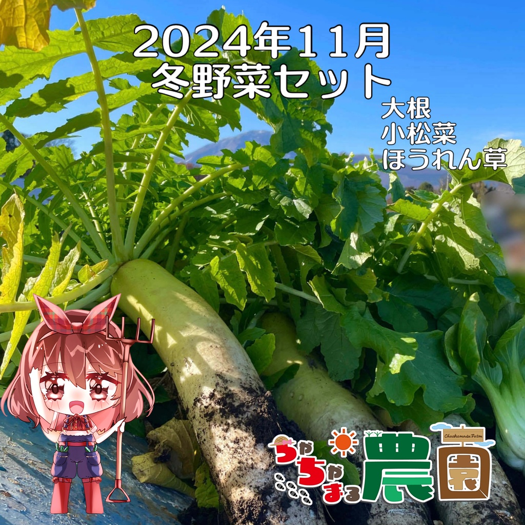 【24.11.30 完売】茶々丸農園大根＆チンゲン菜セット
